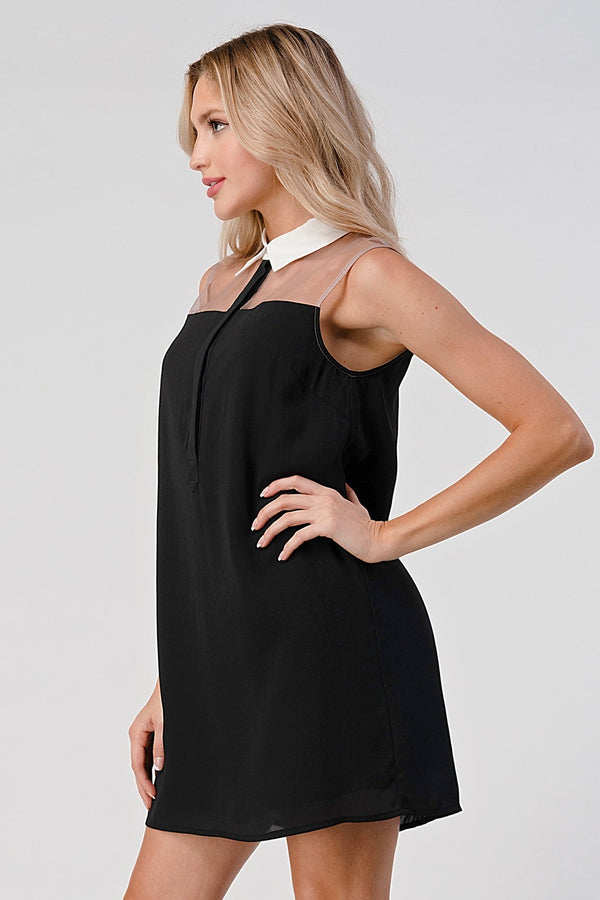 Sheer Panel Collared Shift Dress