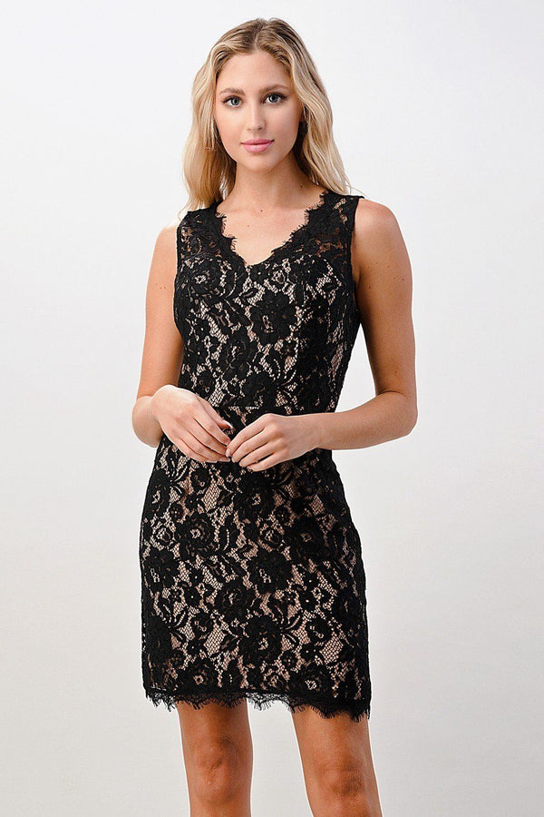 Mini lace dress two tone lace V-neck dress