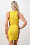 Sculpted Bodycon Mini Dress with Contrasting Panels